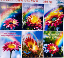 Load image into Gallery viewer, Floral Mini Vertical Planner Kit with flower photos and quote full boxes. Extension Washi included. Planner stickers handmade in the UK