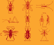 Load image into Gallery viewer, Insects Poster, Entomology print for classroom etc. Multiple colours and sizes available.