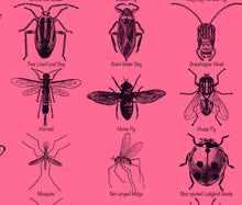 Load image into Gallery viewer, Insects Poster, Entomology print for classroom etc. Multiple colours and sizes available.