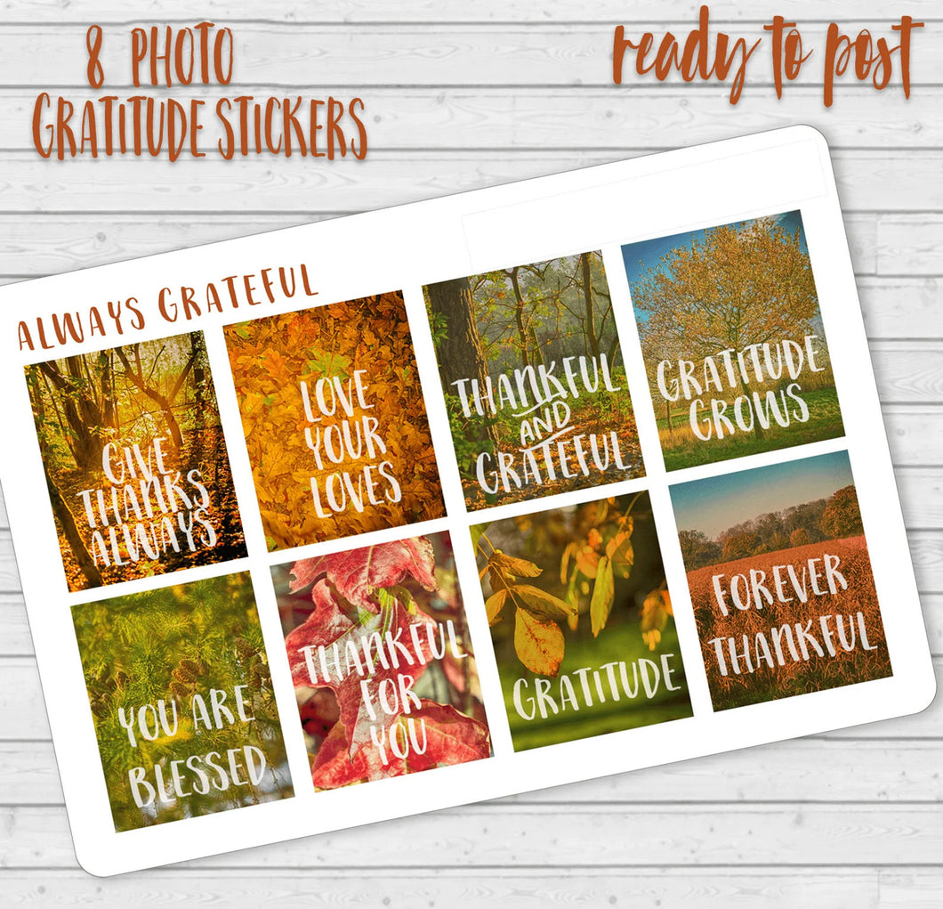 Gratitude Stickers from Autumn Photos - Fall scenes with words of gratitude, journalling deco made in the UK